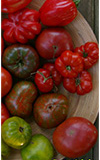 z Tomaten