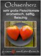images/Bilder/SlideshowTomaten/F_Ochsenherz.jpg