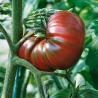 images/Bilder/Slideshows/SouthernNight.jpg
